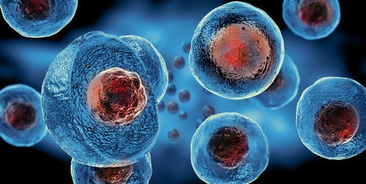 Regenerative Medicine Market Set to Reach USD 95 Billion by 2030, Driven by Personalized Therapies and Government Investments