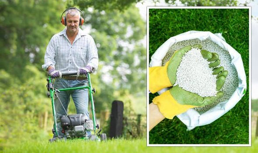 UK Lawn Care Products Market to Reach $3 Billion by 2030, Growing at a CAGR of 4%, Driven by Increasing Homeownership, Urban Green Spaces, and Demand for Sustainable Solutions