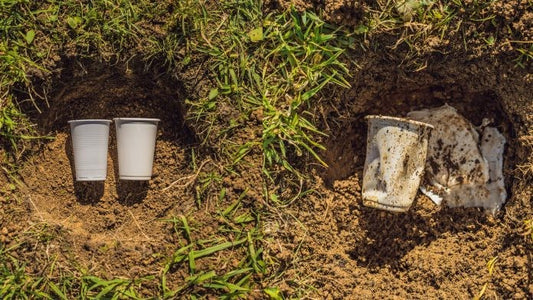 Compostable Plastic Market Grows as Demand for Sustainable Packaging Solutions Increases