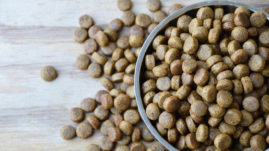 What Pet Food Ingredient Trends Are Emerging Across Africa in 2030?