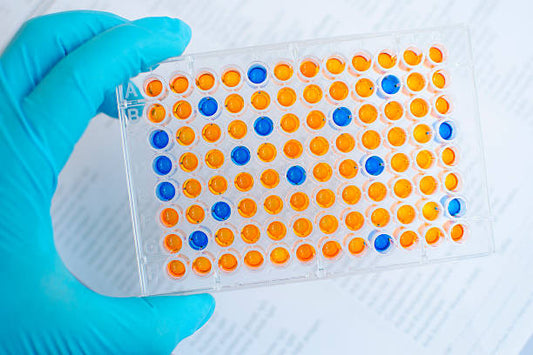 Latin America Immunoassays Market: The Future of Immunoassays
