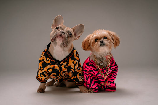 Pet Clothing Market: An Emerging Trend of Style and Functionality for Pets