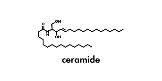 Ceramide Market Expected to Reach USD 568 Million by 2030, Driven by Rising Demand in Skincare, Cosmetics, and Pharmaceuticals
