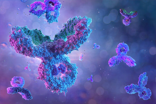 Immunoglobulin Market to Reach USD 20 Billion by 2030, Driven by Aging Population, Technological Advancements, and Rising Chronic Diseases