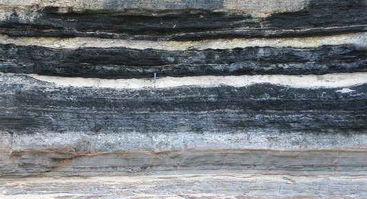 Coal Bed Methane Market Set to Reach USD 38 Billion by 2030, Growing at a CAGR of 6%