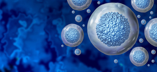 Investing in the Future of Healthcare: The Promising Potential of Regenerative Medicine Market