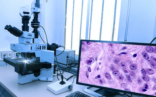 Digital Pathology Market Expected to Grow at a CAGR of 12% by 2030