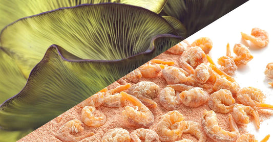 Chitosan Market to Surge to USD 10 Billion by 2030, Driven by Rising Demand in Biomedical, Food & Beverage, and Water Treatment Applications