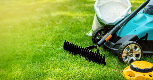 Japan Lawn Care Products Market size is Predicted to Reach USD 4 Billion with a CAGR of 7%