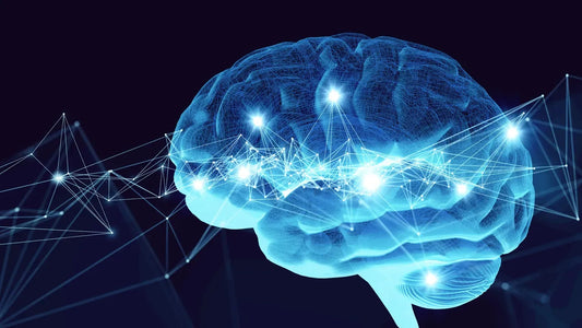 Neuromodulation Market Set to Grow USD 22 Billion by 2030, Driven by Increasing Prevalence of Neurological Disorders