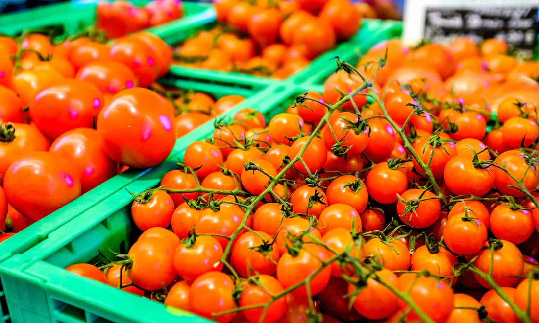 Post-Harvest Treatment Market Poised to Reach USD 3 Billion by 2030