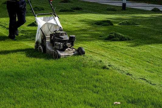 Lawn Care Products Industry: A Fertile Ground for Investment