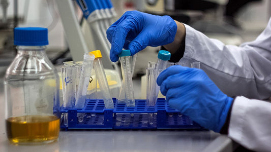 Early Toxicity Testing: Essential Essence of Drug Development