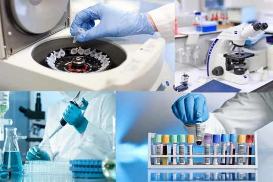 Germany Early Toxicity Testing Market to Reach $422 Million by 2030, Growing at a CAGR of 6% Driven by Demand for Predictive Testing, Stringent Regulations, and Reduced Animal Testing