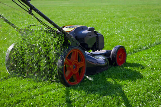 Austria Lawn Care Products Market Size to Reach USD 594 Million, Growing at a 10% CAGR by 2030