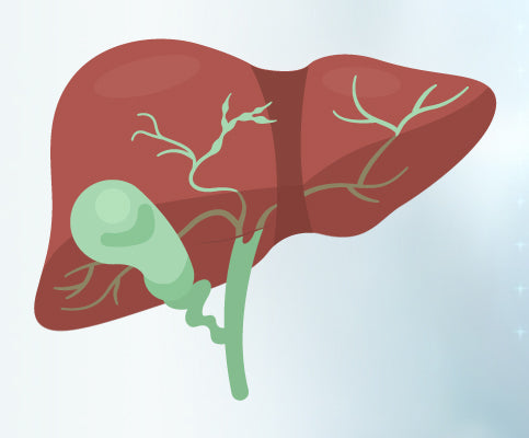 Primary Biliary Cholangitis (PBC) Market: Current Trends and Future Prospects