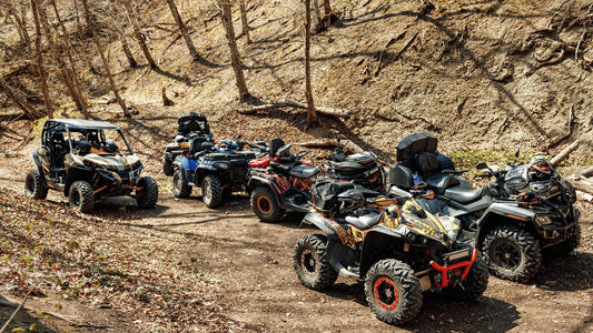 China ATV and UTV Market is Predicted to Reach USD 2 Billion with a CAGR of 5% by 2030