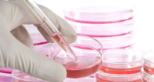Growth in Artificial Tissue Market Fueled by Advancements in 3D Bio-Printing and Organ Transplantation Demand
