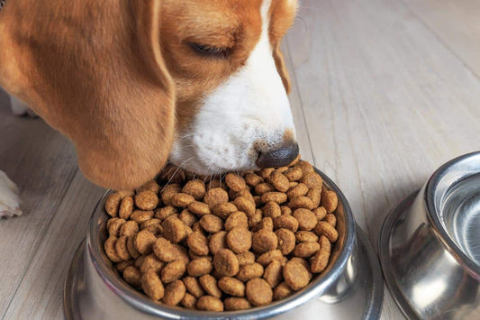 Sweden Pet Food Ingredients Market: A Surge in Demand for Premium, Sustainable, and Health-Conscious Nutrition