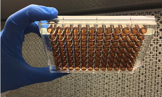 Biocompatible Coatings Market: Enhancing Patient Safety and Device Performance