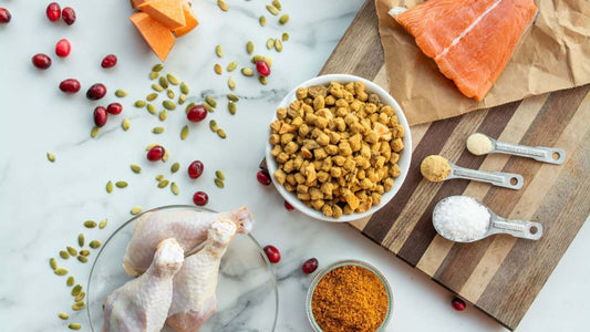 Europe Pet Food Ingredients Market: Growth Driven by Consumer Demand for Premium, Sustainable, and Healthy Pet Food