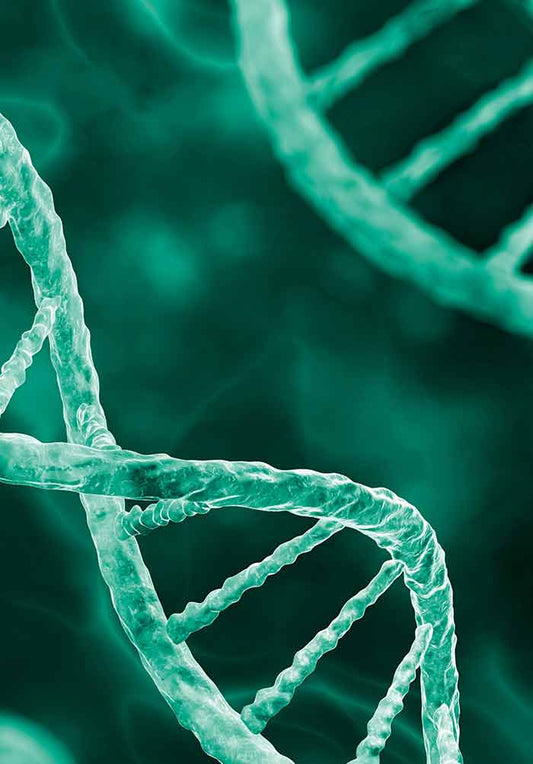 How Is RNA Interference (RNAi) Transforming the Future of Medicine and Biotechnology?