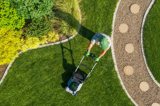 Mexico Lawn Care Products Market Poised for Robust Growth Driven by Urbanization, Eco-Conscious Consumer Preferences, and Innovation