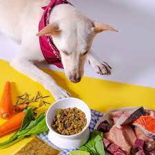 What Innovations Are Emerging in the Singapore Pet Food Ingredients Market?
