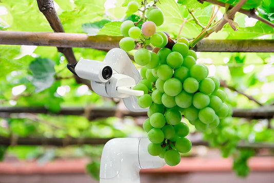 UK Agriculture Robots Market Set to Grow at 10% CAGR, Reaching USD 612 Million by 2030