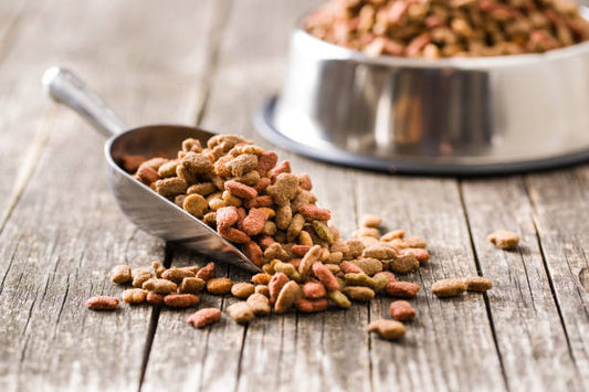What Are the Emerging Trends in Thailand Pet Food Ingredients?