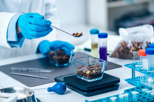 What Is Dry Lab Photo Printing and Why Does It Matter?