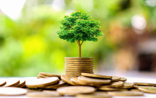 How Can a Dedicated Green Bank Propel India’s Sustainable Transformation?