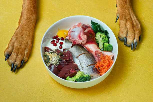 What Are the Global Regulatory Milestones Shaping Cultivated the Indonesia Pet Food Ingredients Market?
