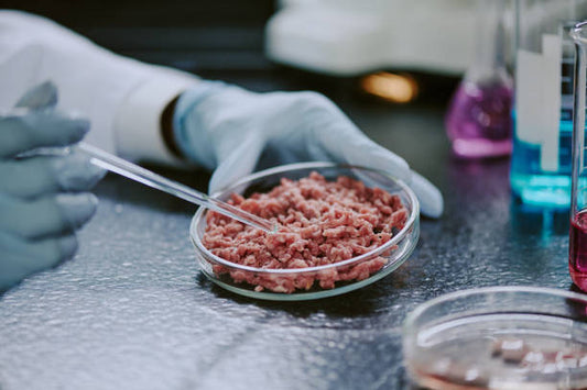 What Is Lab-Grown Food and How Soon Will It Reach Our Plates?