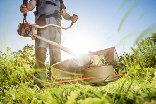 Latin America Lawn Care Products Market is Predicted to Reach USD 5 Billion with a CAGR of 5%