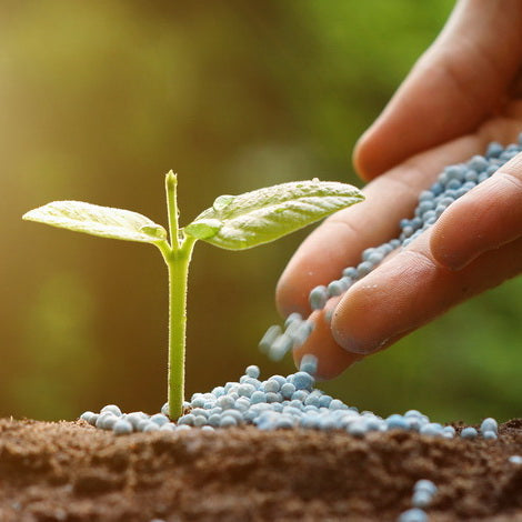 Can Sustainable Fertilizer Additives Transform Agriculture?