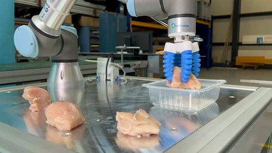 The Transformative Impact of Robotic Grippers on the Manufacturing Industry