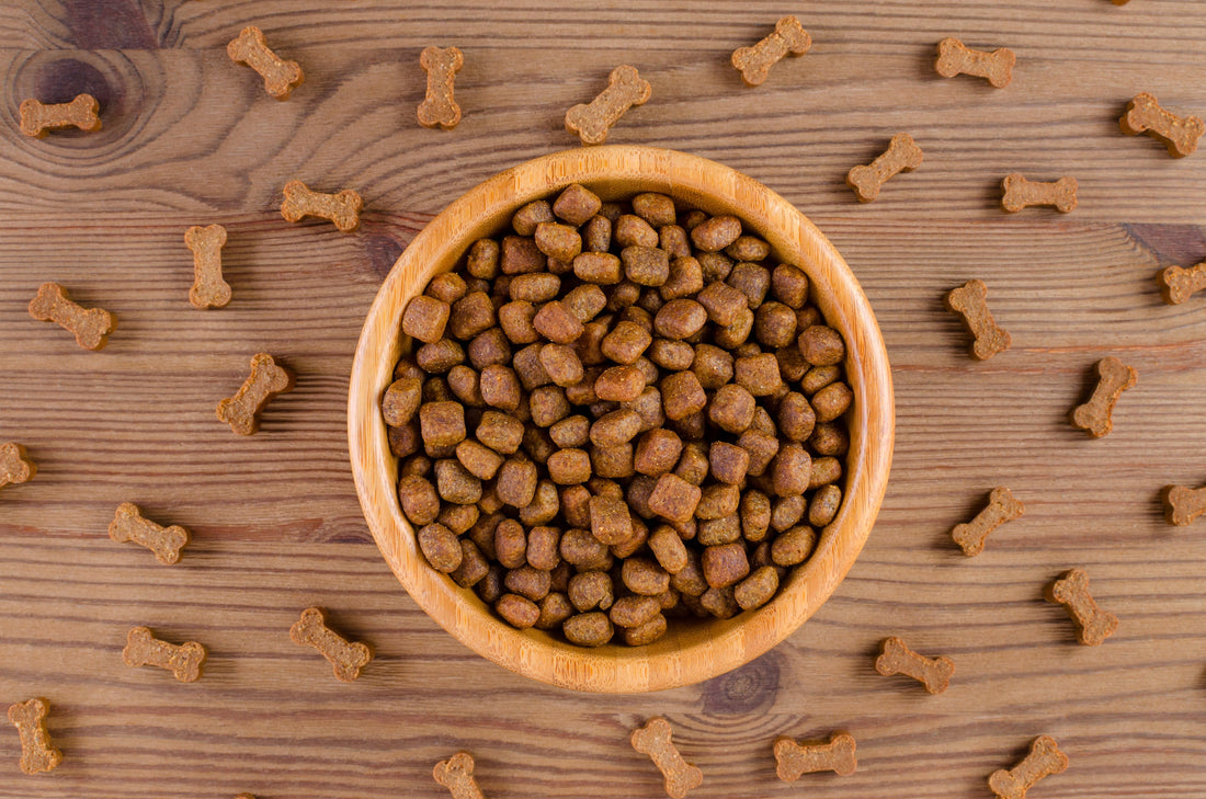 India Pet Food Ingredients Market Set to Witness Robust Growth