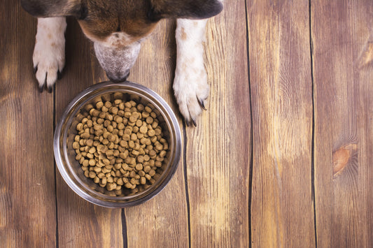 Russia Pet Food Ingredients Market: Shifting Focus on Premium, Nutritious, and Sustainable Pet Nutrition
