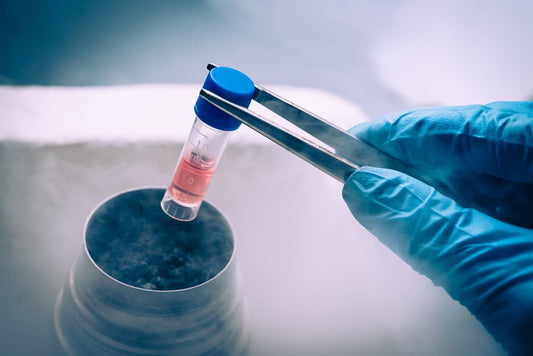 Stem Cell Market Set for Rapid Expansion, Projected to Reach USD 37 Billion by 2030