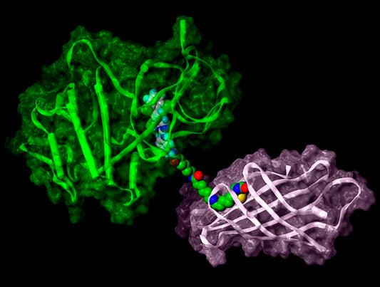 How Are Kinase Inhibitors Shaping the Future of Targeted Therapies in 2030?