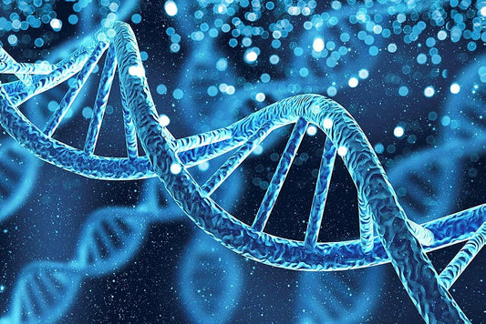 What Is Molecular Cytogenetics and Why Does It Matter?