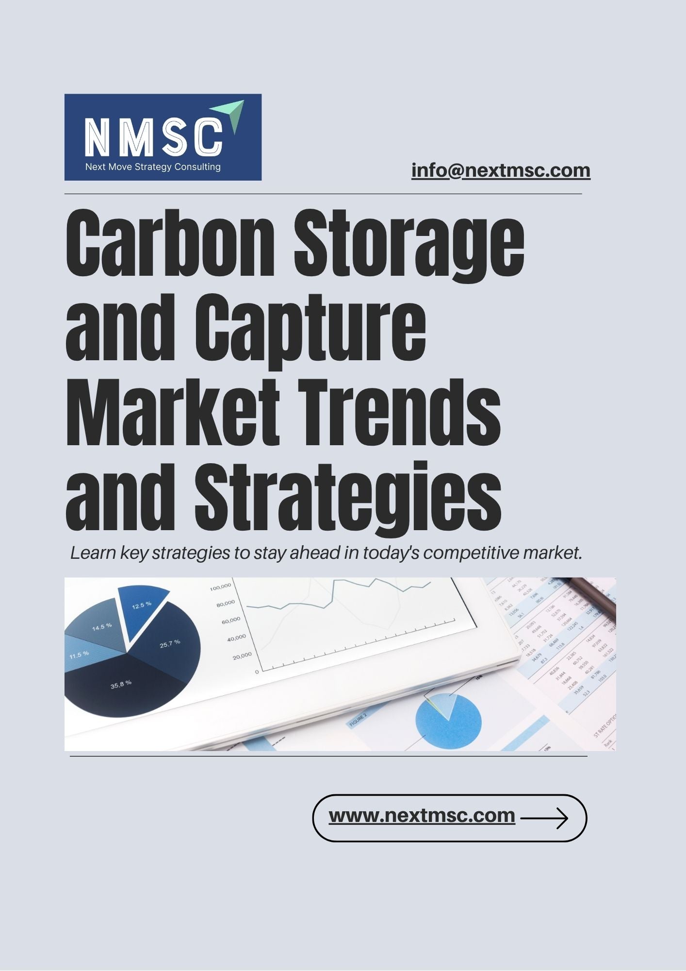 Carbon Storage and Capture Market Report: Trends, Insights, and Forecast for 2030