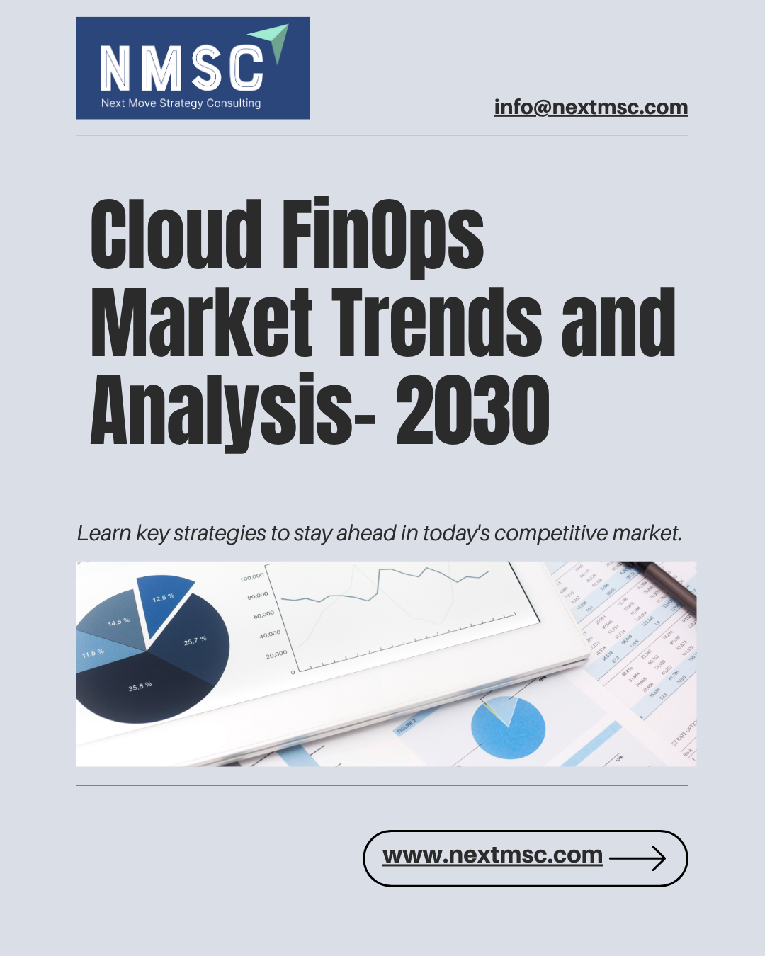 Global Cloud FinOps Market Overview: Strategies for 2030