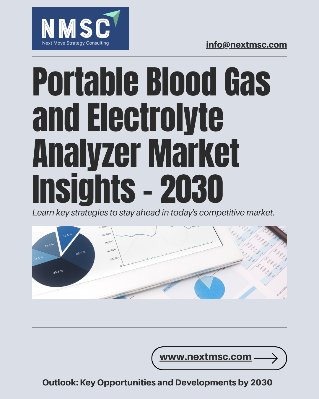 Portable Blood Gas and Electrolyte Analyzer Market Report: Trends, Insights, and Forecast for 2030