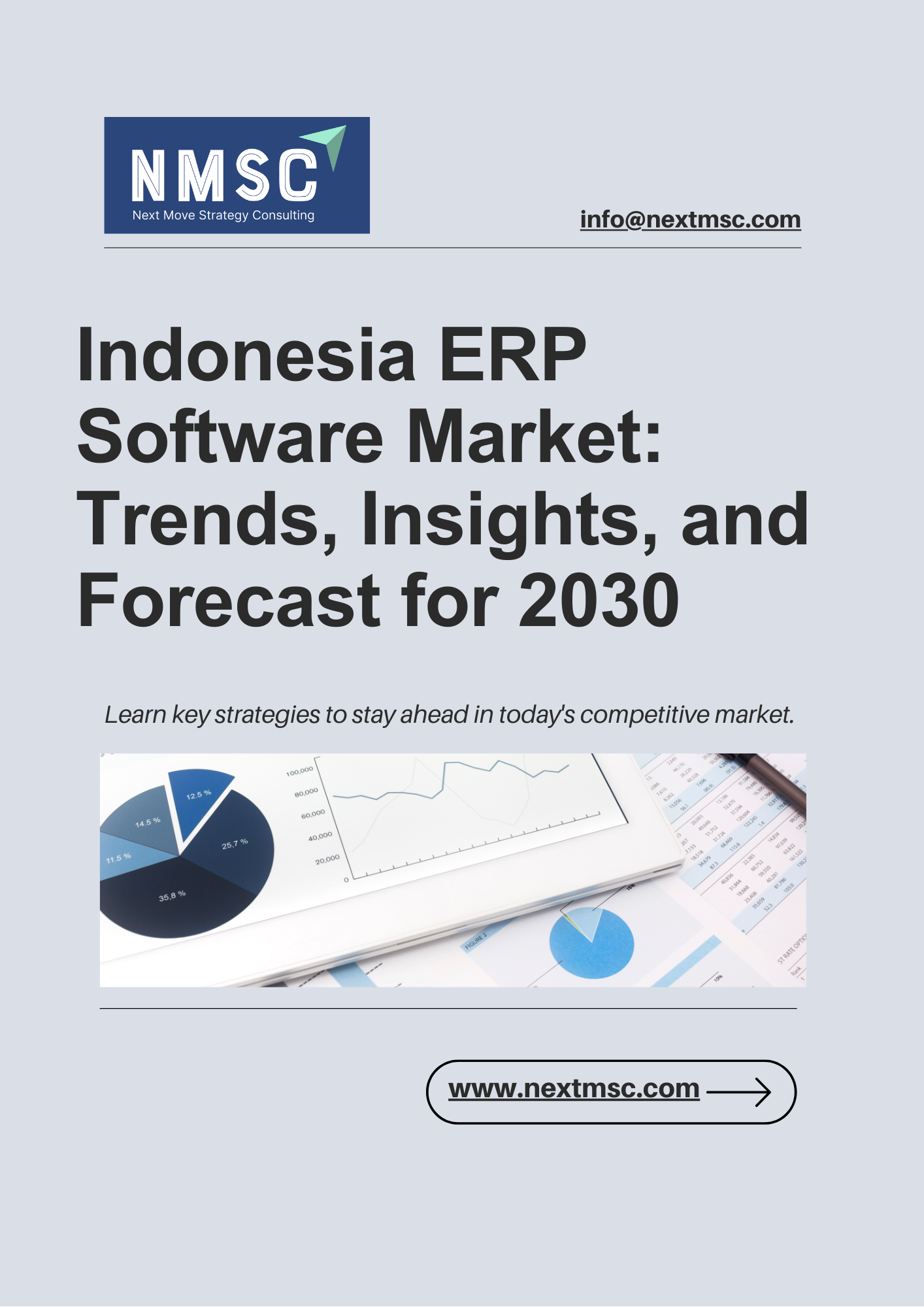 Indonesia ERP Software Market: Trends, Insights, and Forecast for 2030