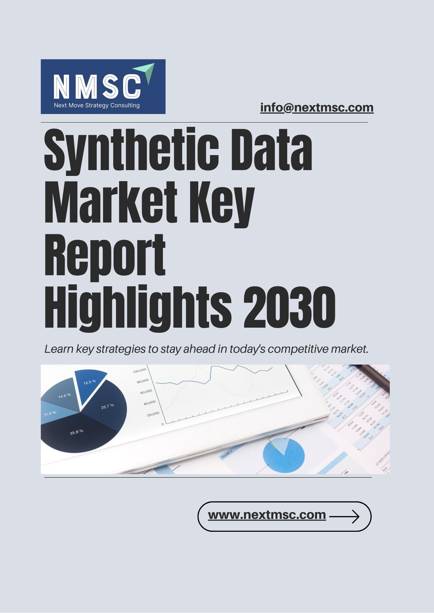 Synthetic Data Market Report: Trends, Insights, and Forecast for 2030