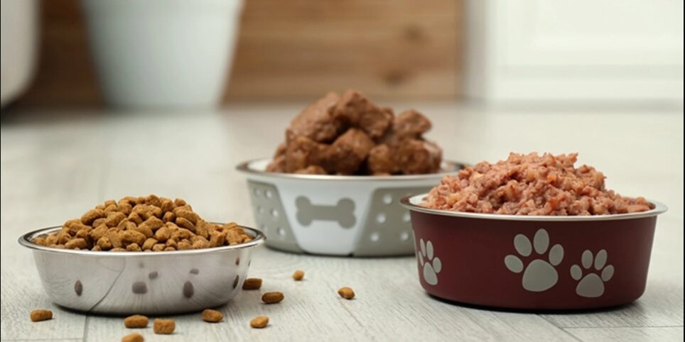 Pet Food Ingredients Market to Reach USD 67 Billion by 2030 with a CAGR of 8%