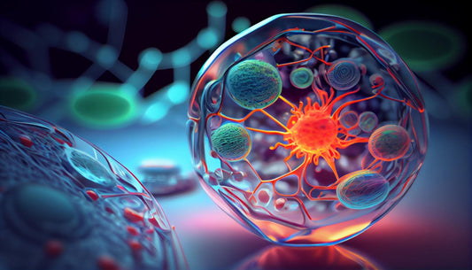 Biologics Market Poised for Substantial Growth: Projected to Reach USD 690 Billion by 2030