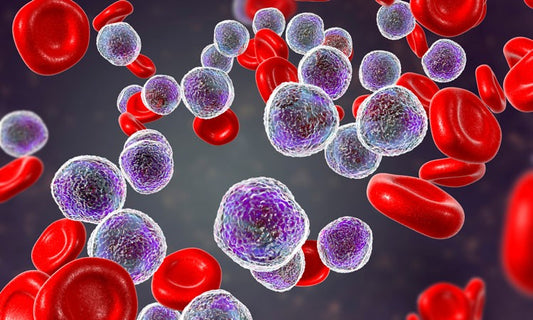 Leukemia Therapeutics Market: Advancing Treatment for Blood Cancer